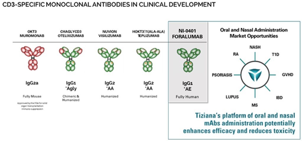 CD3 specific monoclonal antibodies